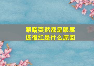 眼睛突然都是眼屎还很红是什么原因