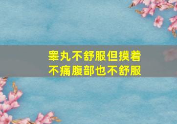 睾丸不舒服但摸着不痛腹部也不舒服