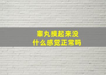 睾丸摸起来没什么感觉正常吗