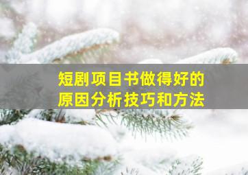 短剧项目书做得好的原因分析技巧和方法