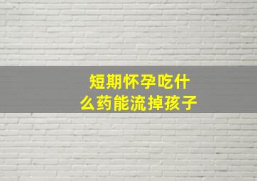 短期怀孕吃什么药能流掉孩子