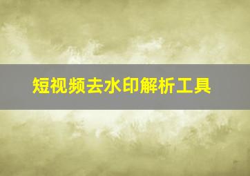 短视频去水印解析工具