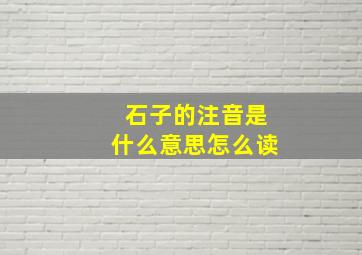 石子的注音是什么意思怎么读