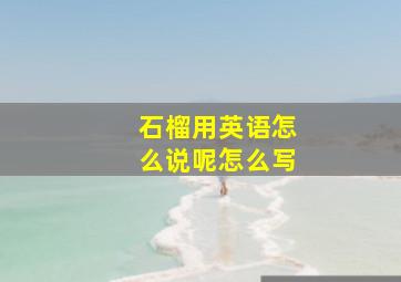 石榴用英语怎么说呢怎么写