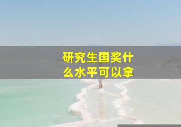 研究生国奖什么水平可以拿