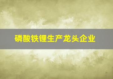 磷酸铁锂生产龙头企业