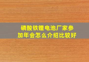 磷酸铁锂电池厂家参加年会怎么介绍比较好