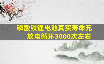 磷酸铁锂电池真实寿命充放电循环3000次左右