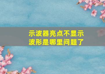 示波器亮点不显示波形是哪里问题了