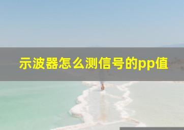 示波器怎么测信号的pp值