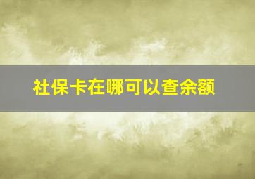 社保卡在哪可以查余额