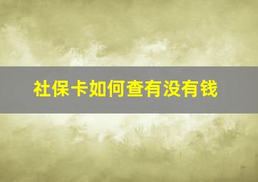 社保卡如何查有没有钱