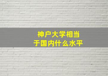 神户大学相当于国内什么水平