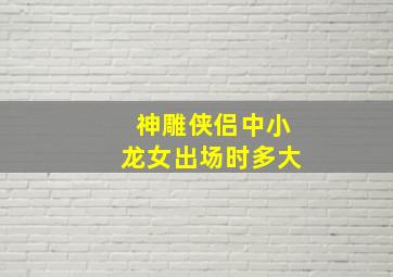 神雕侠侣中小龙女出场时多大