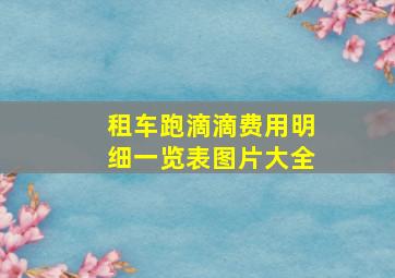 租车跑滴滴费用明细一览表图片大全