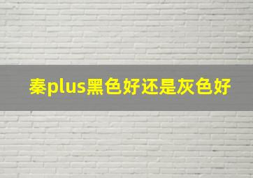 秦plus黑色好还是灰色好