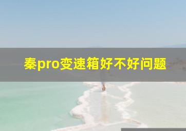 秦pro变速箱好不好问题