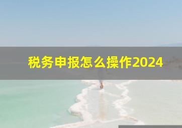 税务申报怎么操作2024