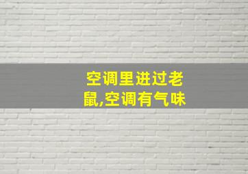 空调里进过老鼠,空调有气味