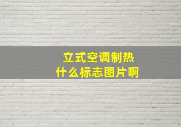 立式空调制热什么标志图片啊