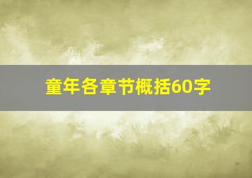 童年各章节概括60字