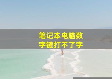 笔记本电脑数字键打不了字