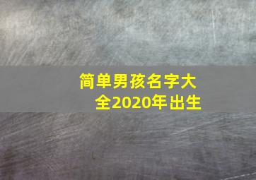 简单男孩名字大全2020年出生