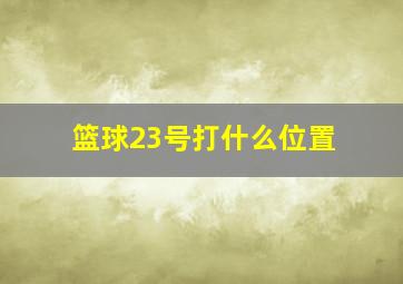 篮球23号打什么位置