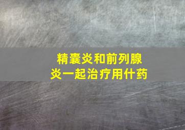 精囊炎和前列腺炎一起治疗用什药