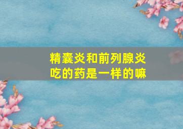 精囊炎和前列腺炎吃的药是一样的嘛