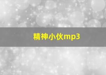 精神小伙mp3