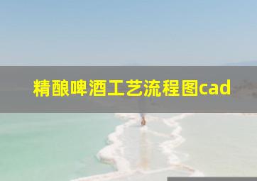 精酿啤酒工艺流程图cad