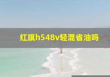 红旗h548v轻混省油吗