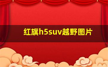 红旗h5suv越野图片