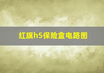 红旗h5保险盒电路图