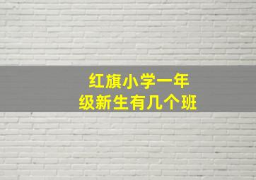 红旗小学一年级新生有几个班