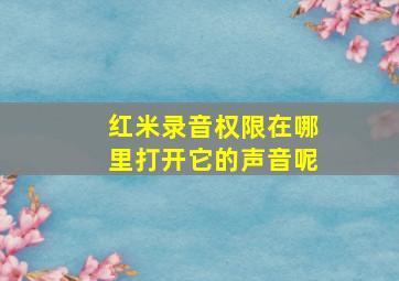 红米录音权限在哪里打开它的声音呢