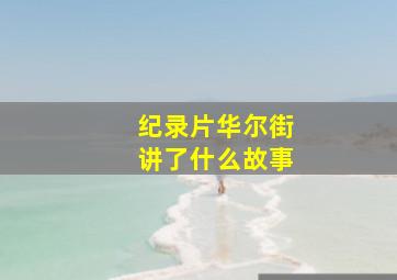 纪录片华尔街讲了什么故事