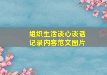 组织生活谈心谈话记录内容范文图片