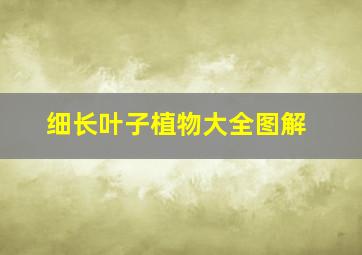 细长叶子植物大全图解