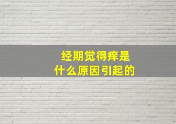 经期觉得痒是什么原因引起的