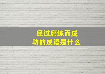 经过磨练而成功的成语是什么