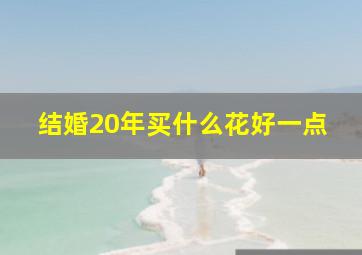 结婚20年买什么花好一点