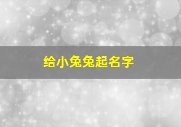 给小兔兔起名字