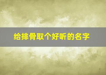 给排骨取个好听的名字