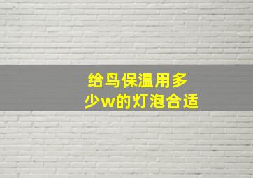 给鸟保温用多少w的灯泡合适