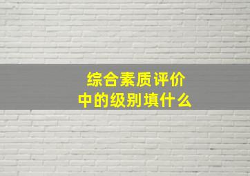 综合素质评价中的级别填什么