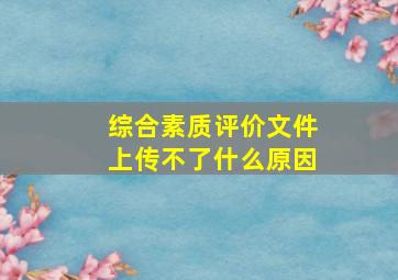 综合素质评价文件上传不了什么原因