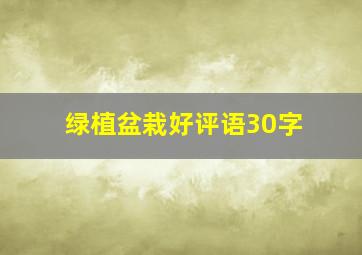 绿植盆栽好评语30字