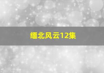 缅北风云12集